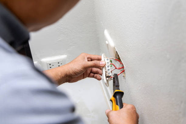 Best Electric Panel Repair  in Cross Mountain, TX